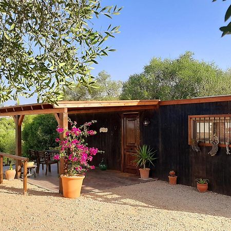 Preciosa Casa De Madera, Andalucia Βίλα Prado Del Rey Εξωτερικό φωτογραφία