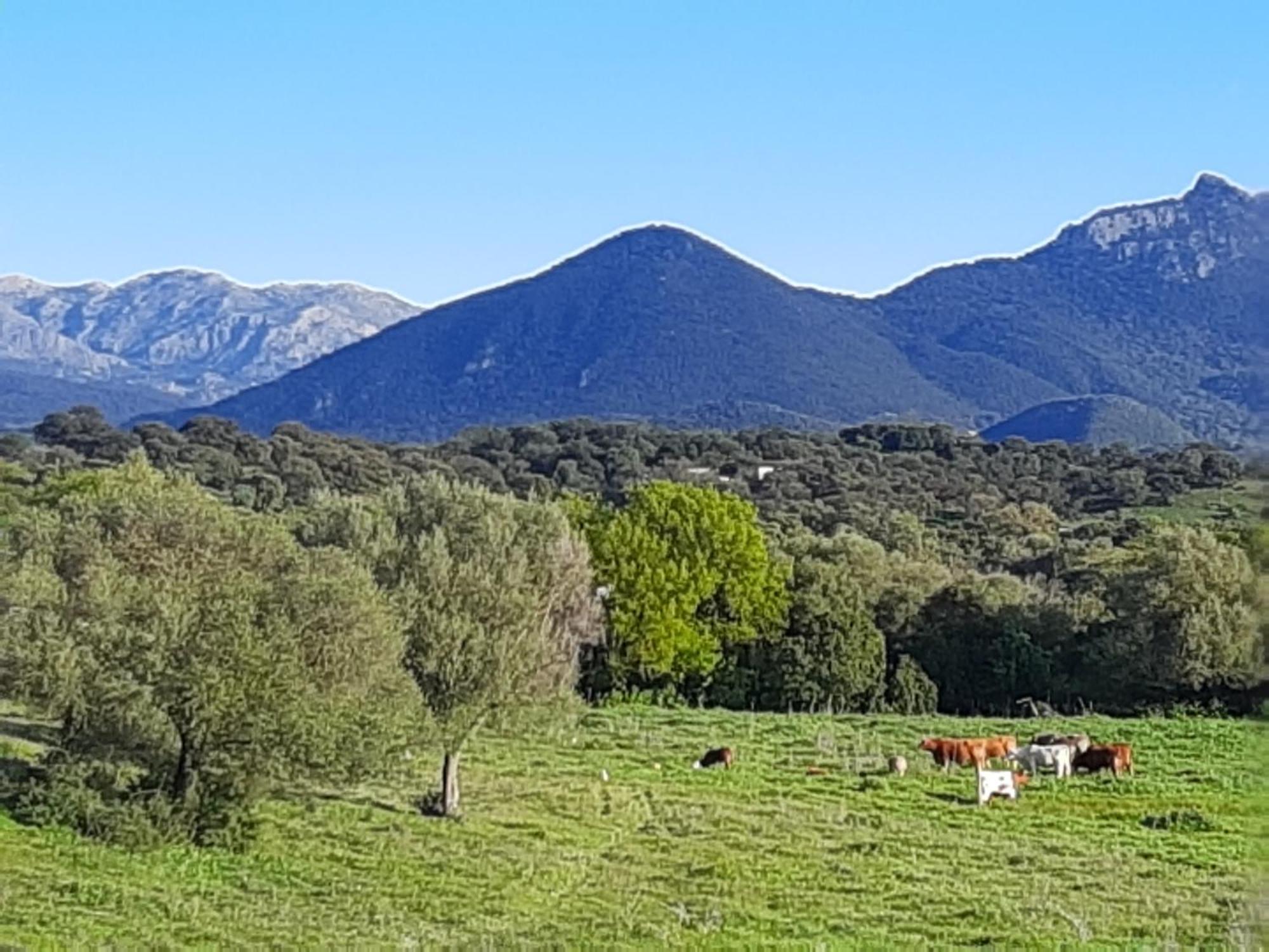 Preciosa Casa De Madera, Andalucia Βίλα Prado Del Rey Εξωτερικό φωτογραφία