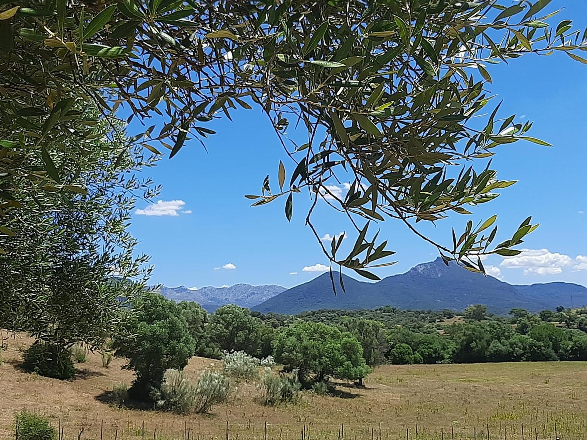 Preciosa Casa De Madera, Andalucia Βίλα Prado Del Rey Εξωτερικό φωτογραφία