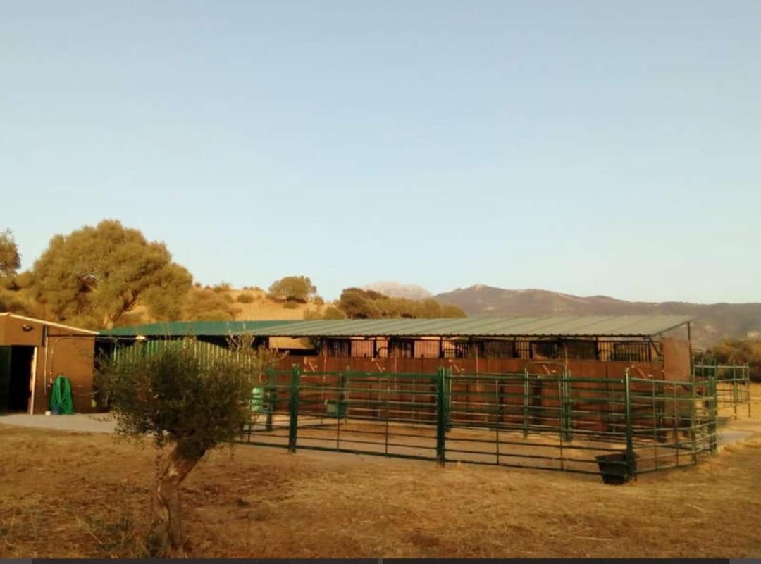 Preciosa Casa De Madera, Andalucia Βίλα Prado Del Rey Εξωτερικό φωτογραφία